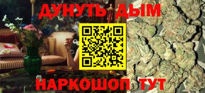 прущие грибы Краснодар