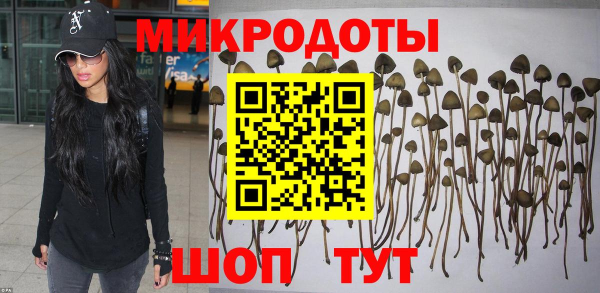 Галлюциногенные грибы мухоморы  Вход с VPN  Чита 